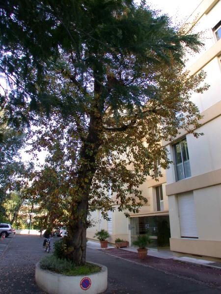 LA RESIDENCE PASSY